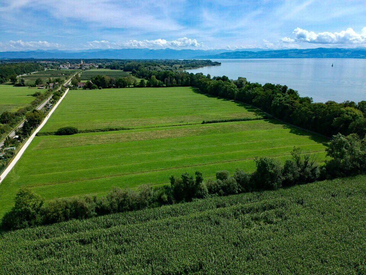 Wohlfuehlloft Seekretzer Mit Privatem Seezugang ฟรีดริชส์ฮาเฟน ภายนอก รูปภาพ