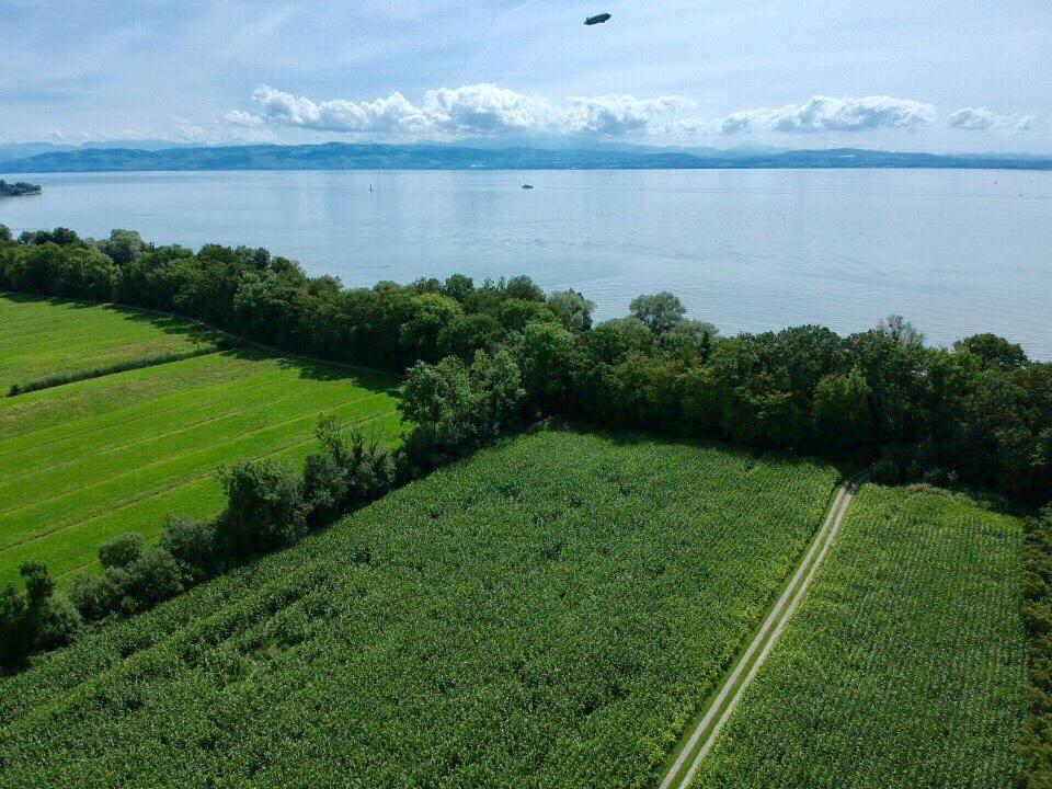 Wohlfuehlloft Seekretzer Mit Privatem Seezugang ฟรีดริชส์ฮาเฟน ภายนอก รูปภาพ